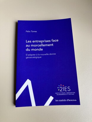 Les entreprises face au morcellement du monde: S'adapter à la nouvelle donne géostratégique